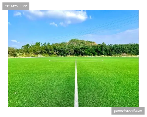 南昌国际体育中心改造升级:天然草坪铺设,预计4月完成 南昌国际体育中心改造升级:天然草坪铺设,预计4月完成